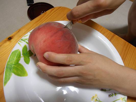 おどろき切り方2