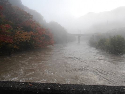 ２４日朝下流