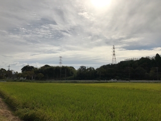 iPhoneImage.png