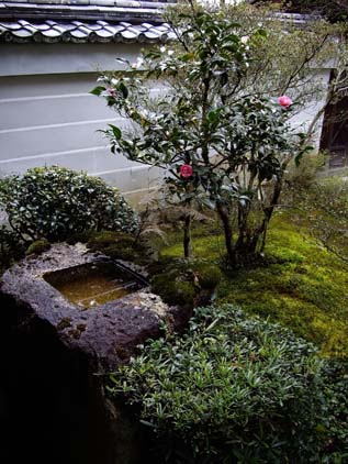 お庭の手水鉢