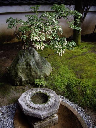 重森三玲のお庭4 手水鉢とお花