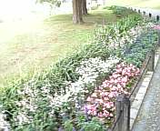 DVC00001.jpg
