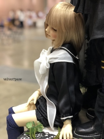 dp05b.jpg