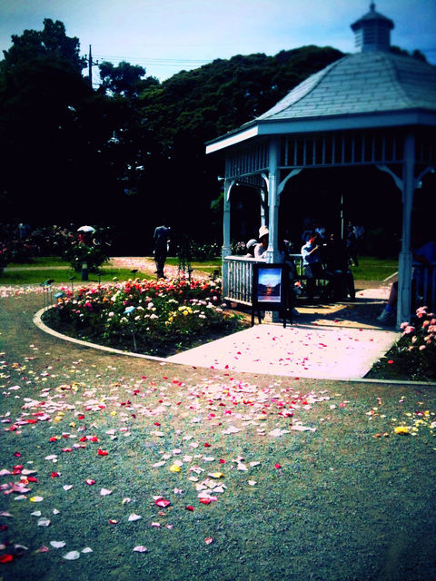 ROSE GARDEN会場