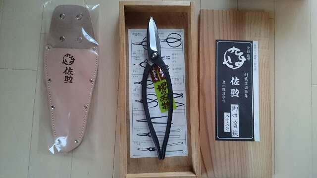 佐助・切箸 | play green 庭師 佐助・切箸 | play green 庭師