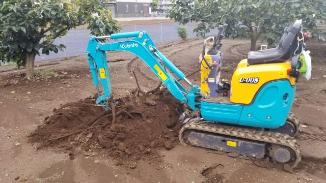 抜根作業 - 株式会社 河畠造園