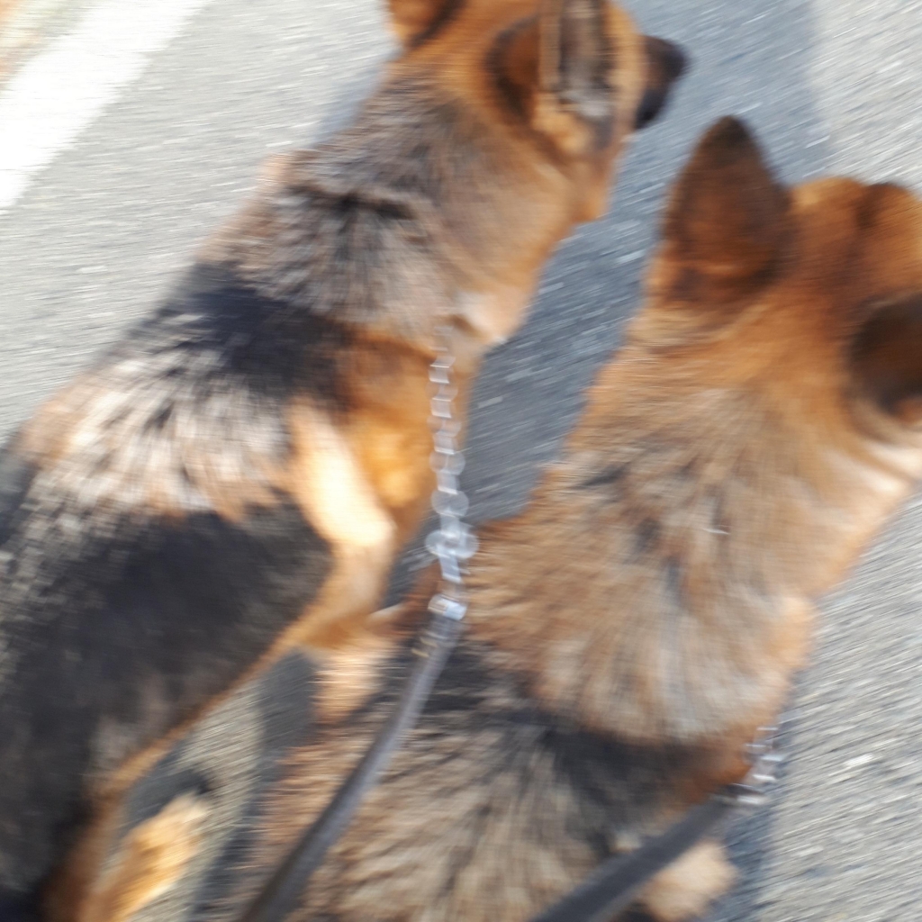 20190222_141146.jpg