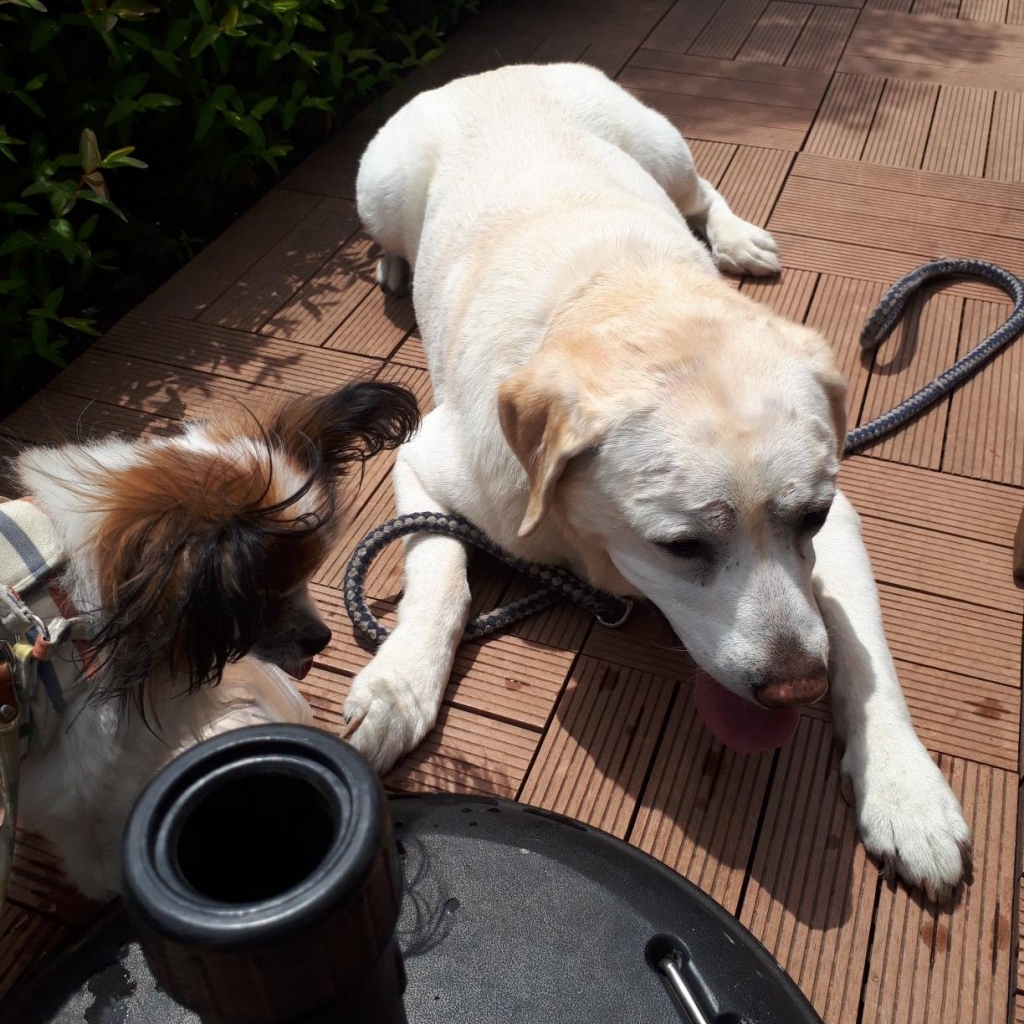 20190429_122846.jpg