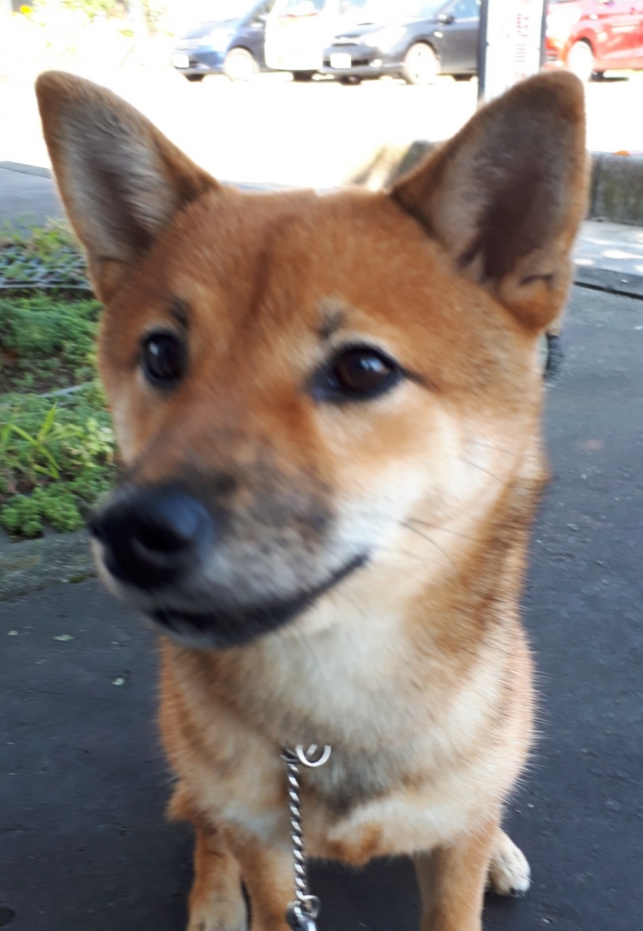 20200811_091612.jpg