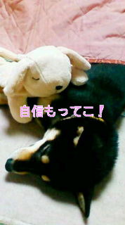 20081129174744.jpg