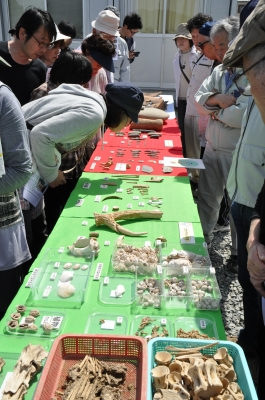 波怒棄館遺跡