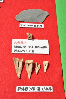 波怒棄館遺跡