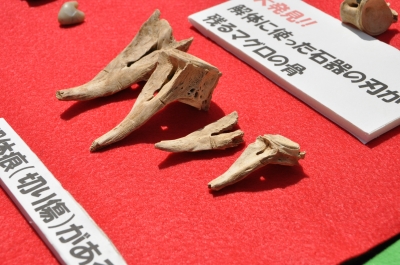 波怒棄館遺跡