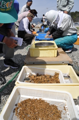 波怒棄館遺跡