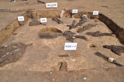 御駒堂遺跡