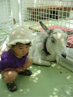 行船公園 ヤギと由依