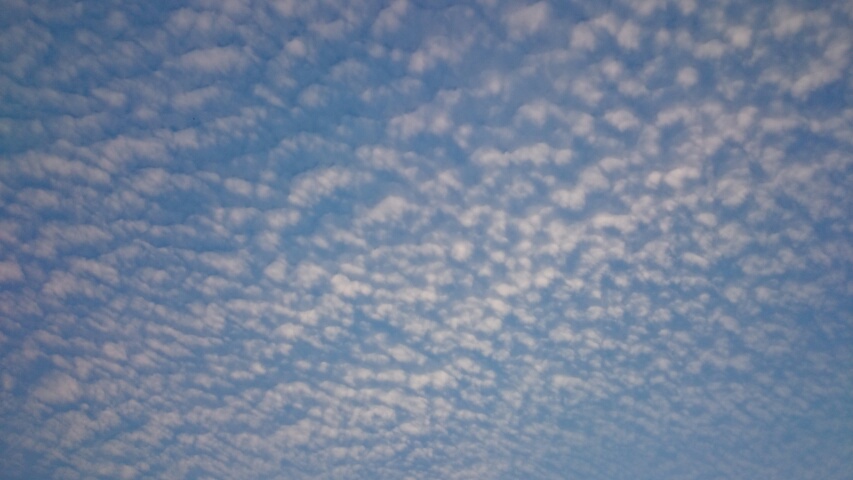 2015081101235600.jpg