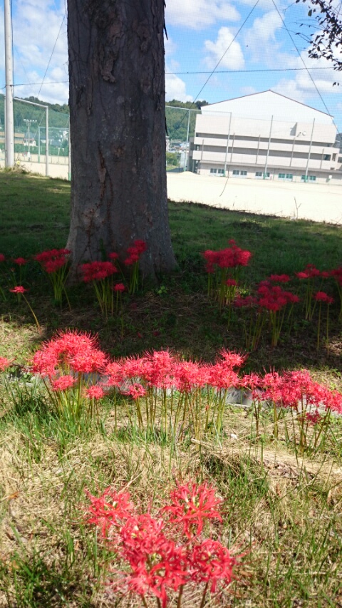 2015092114453200.jpg