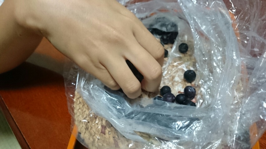 2015092301082000.jpg