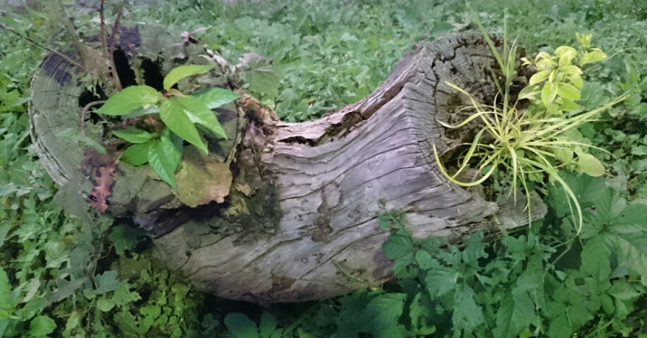 2015092921244900.jpg