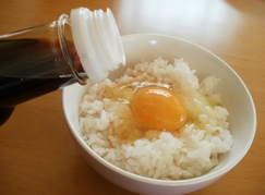 t8.jpg