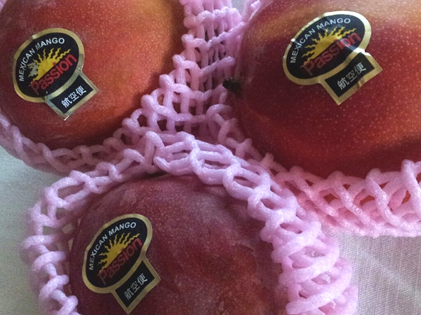 mango1.jpg