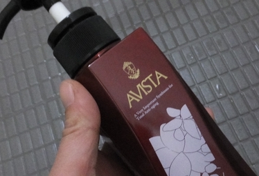 avista1-2.jpg