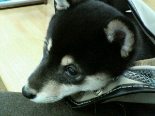 201003051149000.jpg