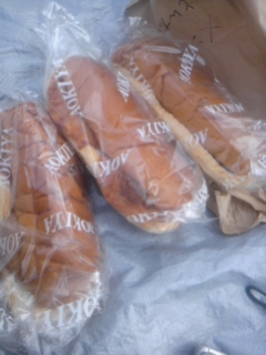 DVC00393.jpg