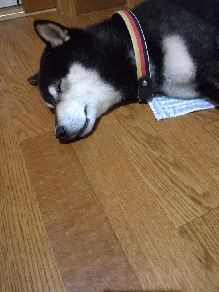 IMG_20170703_015037.jpg