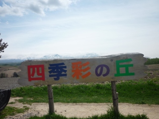 P1010389.jpg