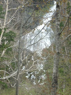 P1010433.jpg
