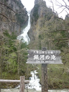 P1010436.jpg