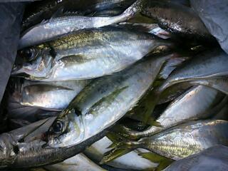 20120926_133517.jpg