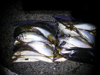 20121017_042446.jpg