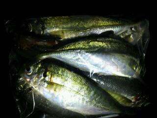 20121028_054609.jpg