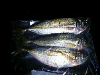 20121031_034102.jpg