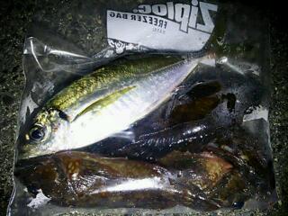20121105_051636.jpg