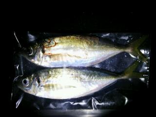 20121122_054144.jpg
