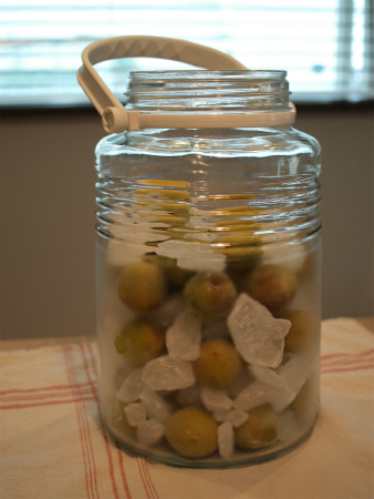 20120616_11.jpg