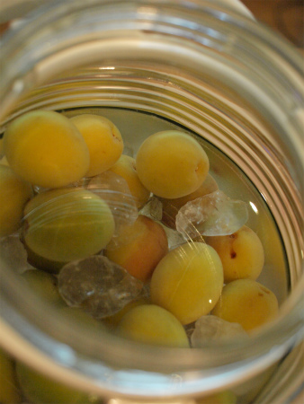 20120616_21.jpg