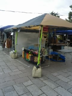 180707_0948~01.jpg