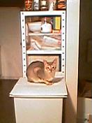 060405_1922001.jpg