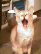 060507_0020001.jpg
