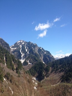 photo.jpg