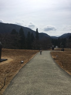 photo.jpg