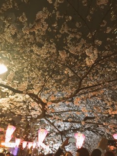 photo.jpg