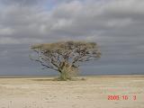 2005.10.5
