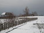 2006.11.24