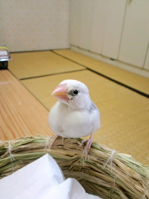 CA3C00050004.jpg